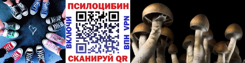 купить наркотики цена  Будённовск  Псилоцибиновые грибы мухоморы 
