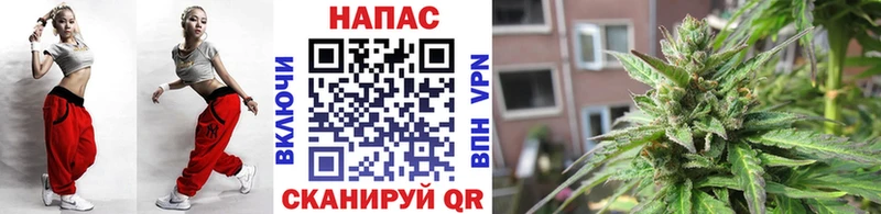 это какой сайт Будённовск Канабис конопля цены наркотик
